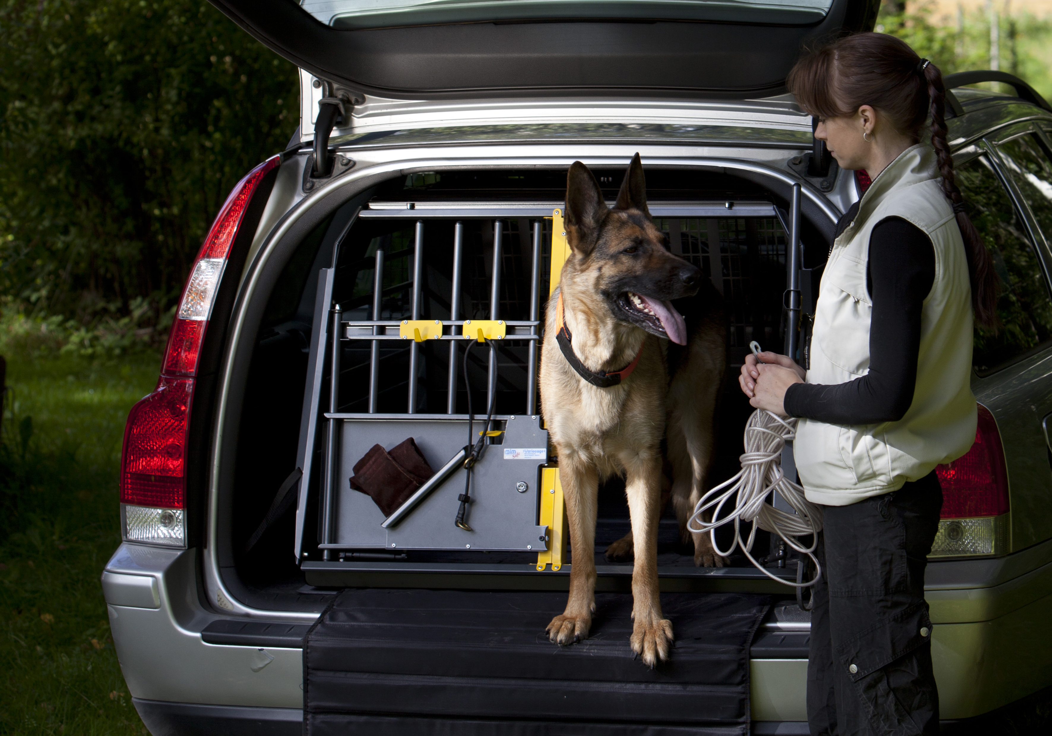 dog car cages