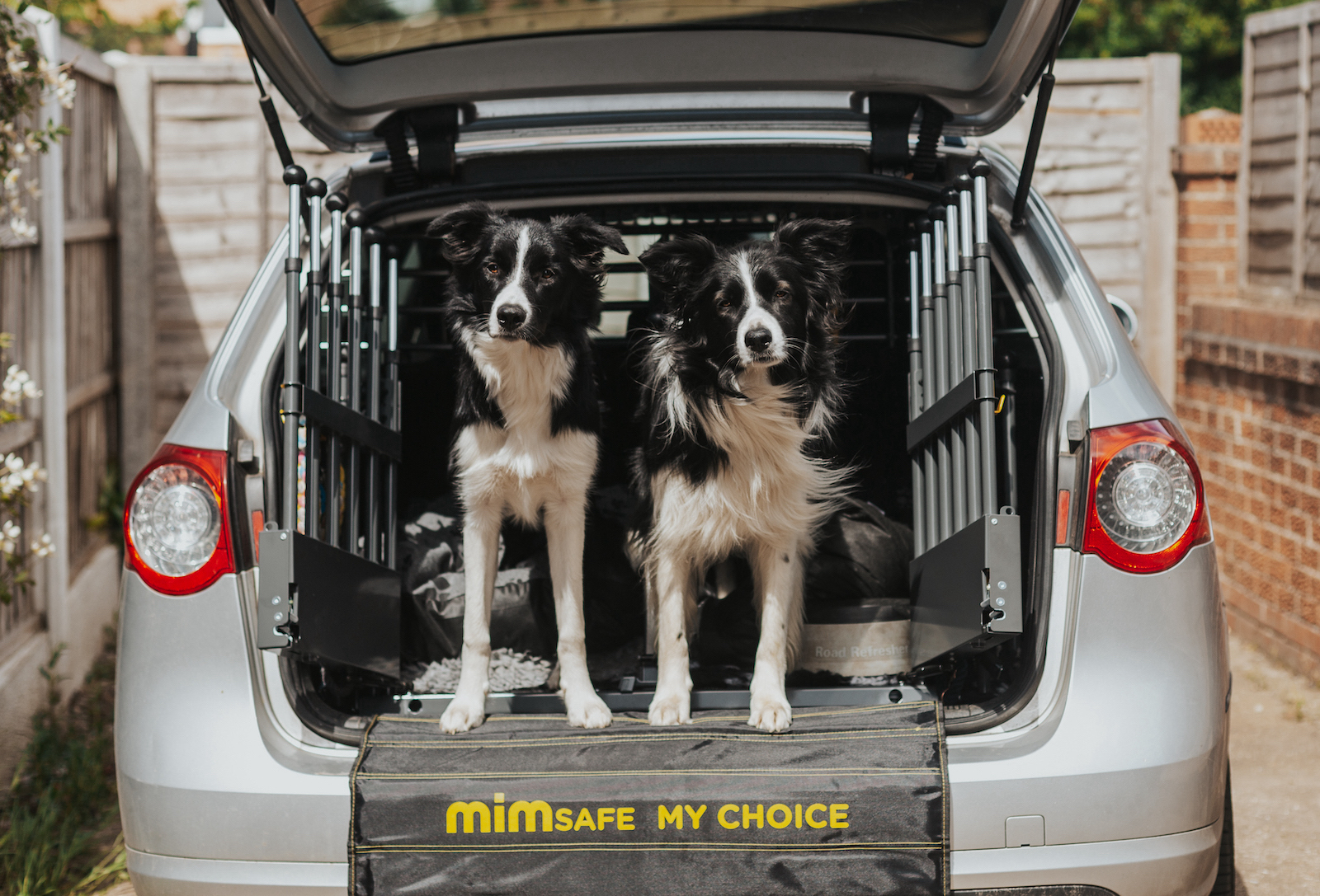 Dog crates for cars