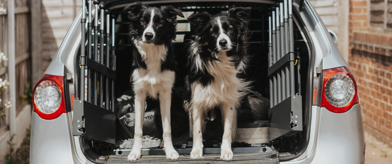 Dog Crates For Cars