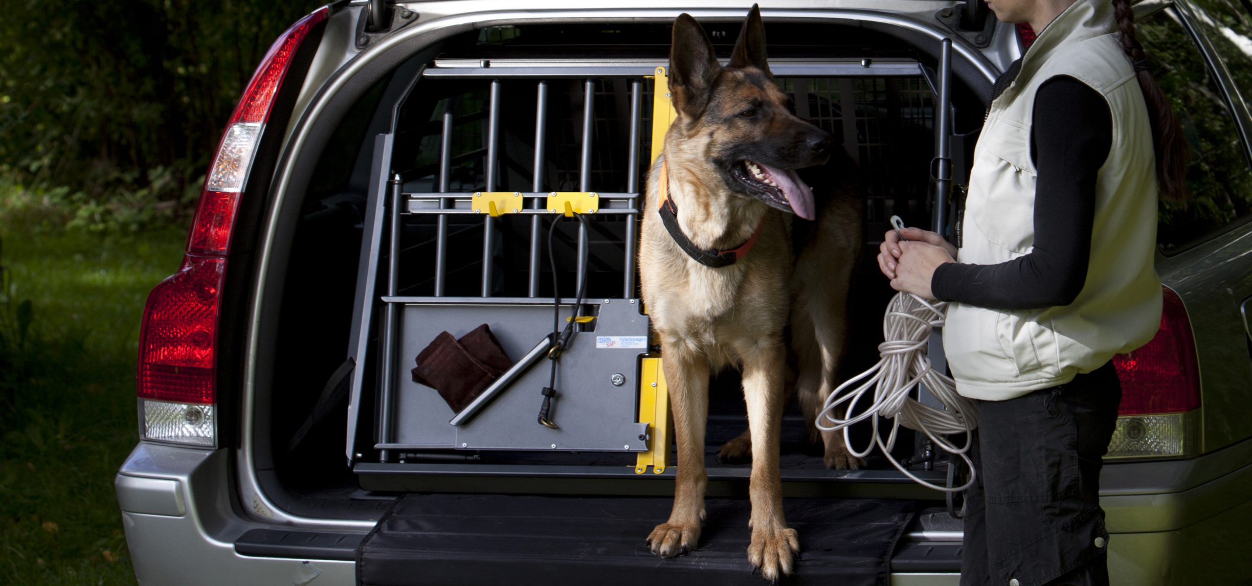 Dog Car Cages or Harnesses?