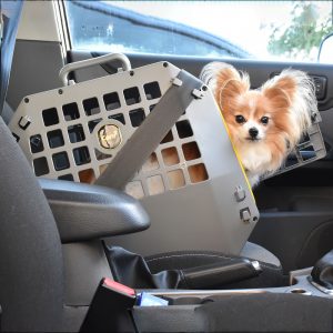 dog carrier for cars